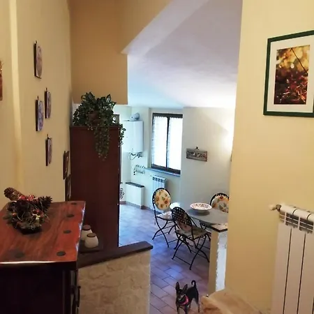 Diffuso Millepapaverirossi Casa Irma
